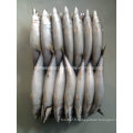 Bqf Frozen Seafood Fish for Mackerel